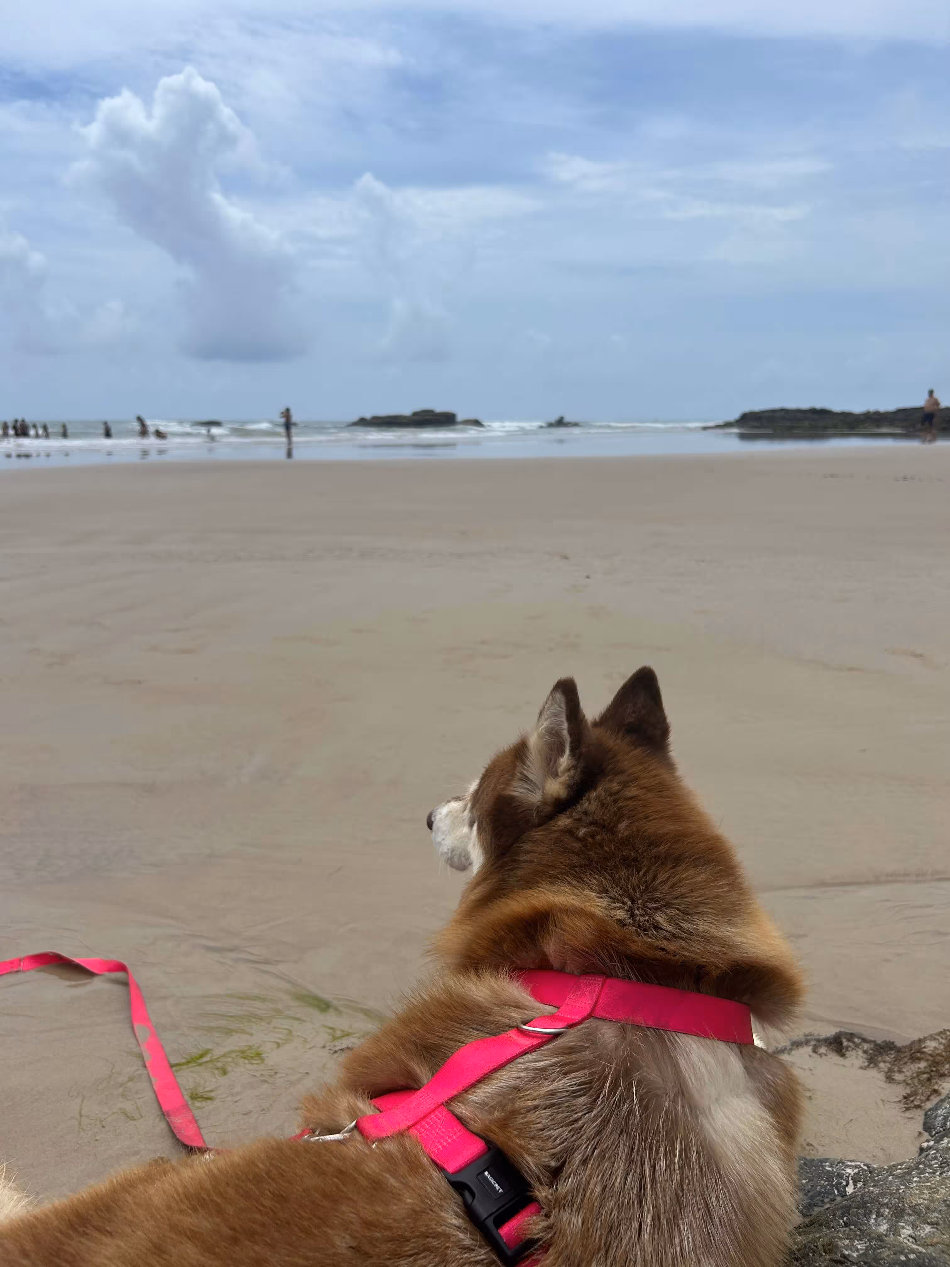 Renan, Millena e Ayla - a família Naturerota